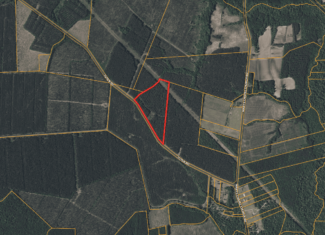 21 Acres Timberland & Hunting Near New Bern NC